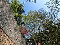 -陈记锅盖面(长江路店)