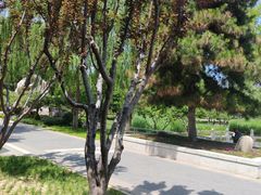 -西海子公园