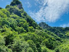 -青峰峡国家森林公园