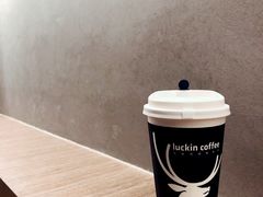 -瑞幸咖啡(巴黎春天陕西路店)