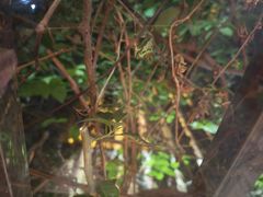 -食德喜·阳山鸡王食研基地