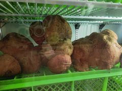 -山菌美食苑(振兴路店)