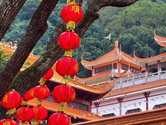 -深圳仙湖植物园
