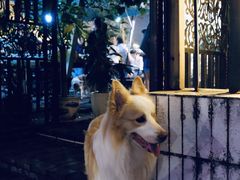 -豆舞咖啡(民乐路店)