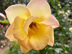 -人民公园(罗湖区)