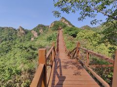 -大岭沟猕猴桃谷风景区