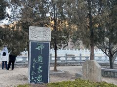 -四门塔风景区