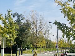 -两河城市森林公园