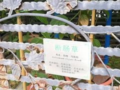 -广州神农草堂中医药博物馆