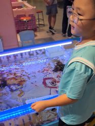 -卡通尼·Safari非洲探索乐园·生日会(金桥国际商业广场店)