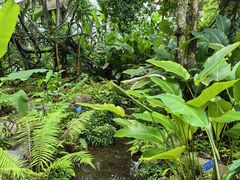 -中国科学院西双版纳热带植物园