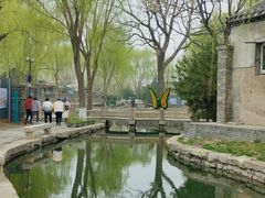 -春风习习