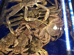 -蟹道乐(道顿堀本店)