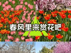 -英孚教育青少儿(高新公园茂中心)