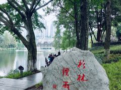 -重庆彩云湖湿地公园