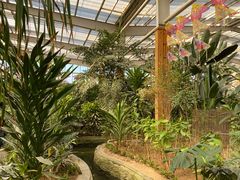 -南宫五洲植物乐园