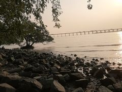 -宝安西湾红树林湿地公园