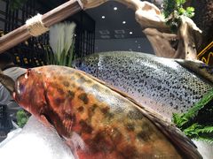 -喜庭海鲜自助(来福士店)