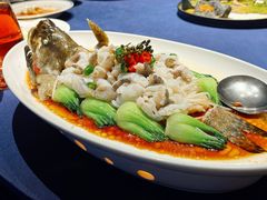 -维园悦谱·海派家常菜(乌鲁木齐南路店)