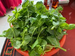 -扎佐老牌蹄膀·猪脚