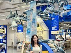 -宜家家居(四元桥商场店)