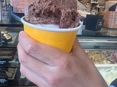 -Patagonia Chocolates(皇后镇店)