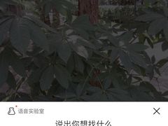 辣子牛蛙-开小灶(公望街店)