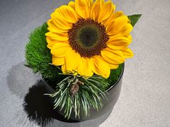 -三利音·浦之舟(滨江大道店)