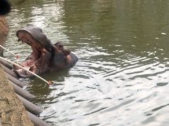 -杭州野生动物世界