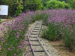 -云峰山自然风景区