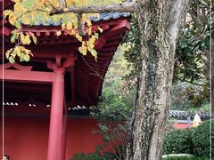 -西安华清御汤酒店