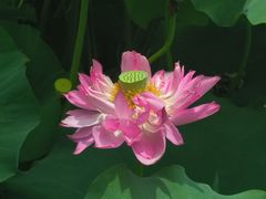 -黄兴公园