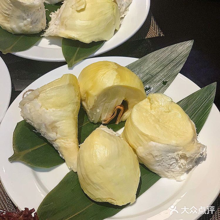 海胆自由的感觉也太赞了吧[胜利]