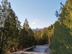 -府君山公园