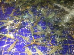 -79号渔船海鲜饭店(华强北店)