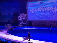 -华夏文旅海洋公园