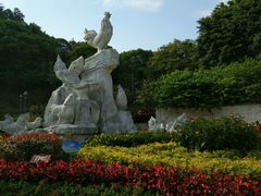 -金鸡山公园