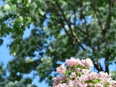 -国家植物园南园