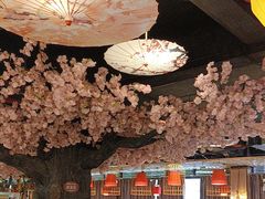-渝厨生态火锅(合川区府店)