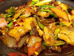 回锅肉-盛天毛血旺非遗美食(观音桥店)
