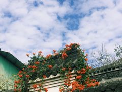 -齐汇维景大酒店游泳馆(山东政协大厦齐汇维景)