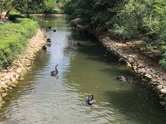 -长白岛森林公园