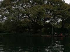 -晓港公园