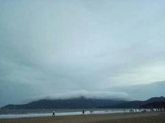 -碧海金沙