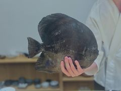 -镹·鱼料理  国产鱼使用店