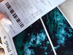 -怀托摩萤火虫洞