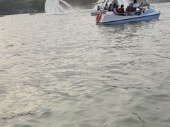 -祥源·阜阳生态乐园