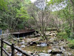 -牛背梁国家森林公园