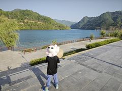 -后柳水乡