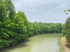 -上海海湾国家森林公园